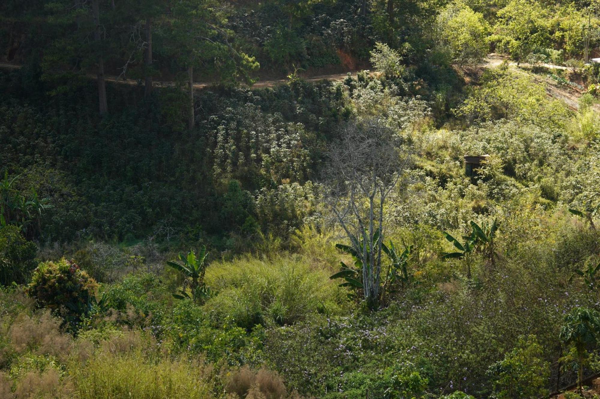 Emai Valley Da Lat Kültér fotó